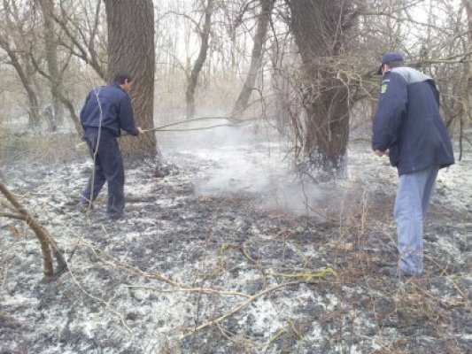 Incendiu din Delta Dunării, stins de poliţiştii Gărzii de Coastă